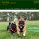 Website Design Beverley by Weborchard - Top Dog Boarding Kennels York, North Yorkshire